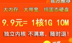 阿里云香港VPS主机，速度与稳定性并存的云服务解析体验