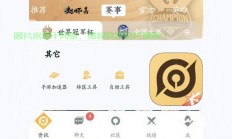 王者小助手，游戏玩家的神器利器！