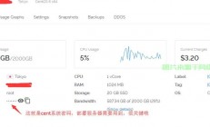 VPS SS自动启动设置指南，轻松实现服务自启动！