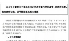 IC载板风起潮涌，众厂商拥重金入局，谁将赢得市场新高地？