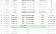 全面解析VPS优劣势，虚拟专用服务器的利弊深度探讨