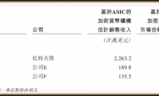 解构芯片设计黑马比特大陆