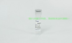 VPS36蛋白的神秘面纱揭秘，深度解析功能与机制