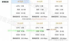 国内高性价比VPS大揭秘，优质选择一网打尽！