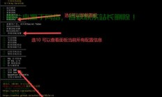 「独家解析」精选VPS搭建SS方案，哪个方案最适合你的需求？