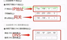 VPS节点高效换IP，保障时效，畅游网络无阻碍