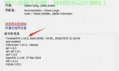 SVN安装全攻略，轻松上手，轻松掌握一步到位！