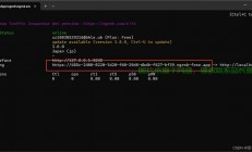 轻松下载DBDB指南，一步到位，轻松搞定！