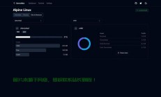 揭秘VPS安全真相，虚拟私人服务器是否可被监控？