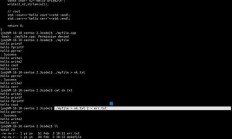 在 Linux 中，文本文件是存储纯文本内容的文件，通常由可打印字符和换行符组成，不包含特殊格式或二进制数据。以下是关于 Linux 文本文件的关键知识点，Linux 文本文件究竟隐藏着哪些不为人知的关键秘密？，Linux 文本文件背后藏着哪些颠覆认知的惊人秘密？