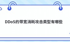 DDoS的带宽消耗攻击类型有哪些