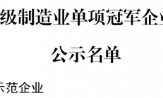 嘉合劲威（POWEV)荣获“2022年内存产品制造业单项冠军”