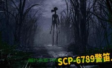 scp怎么进入服务器视频
