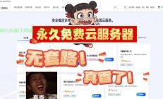 免费VPS永久使用秘籍，轻松获取高速稳定虚拟服务器攻略！