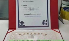 揭秘DSO，全方位理解其概念与含义