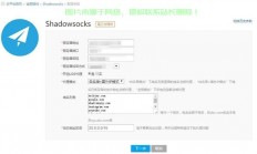 揭秘VPS神奇转变，Socks4新境界探索！