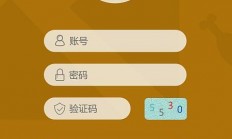 手机软件VPS登录，安全高效的远程访问新选择