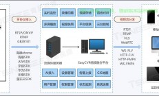 Virpus VPS性能深度解析，表现如何引人注目？
