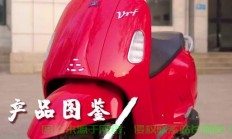 大阳VPS与VRS，功能、性能与优势深度对比解析！