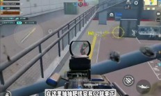 轻松掌握cjzc下载秘籍！