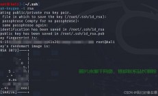 SSH登录VPS故障解析，无法登录的终极解决方案