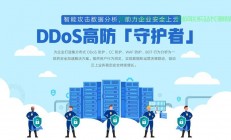 专业推荐高防VPS，安全稳定有保障，哪家强？