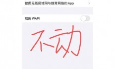 VPS连接故障全解析，无法访问网络的快速解决方案