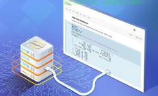VPS服务器类型详解，优势、应用与揭秘