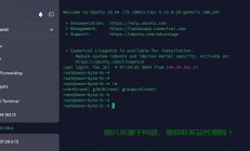 保姆级教程，轻松设置VPS BT代理，一键搞定！