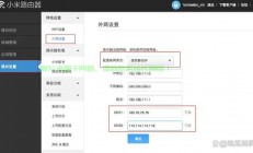 VPS DNS设置轻松改，域名解析指南助你上手！
