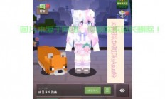 mc服务器怎么设置正版皮肤?