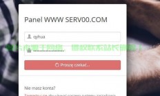 优质VPS主题大解密，免费选择一网打尽！