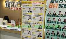 新东方VPS网站重磅上线，一站式在线学习平台全面解析，引领学习革命！
