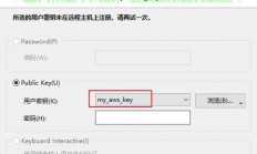 高效、便捷与安全的VPS解决方案，扫端口支持，完美融合三大优势