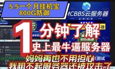 应对国内VPS封锁，网络封锁挑战下的应对策略！