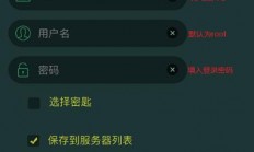 安全快捷连接VPS的SSH使用指南