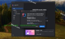 Java软件下载与安装指南，轻松上手，一键获取！
