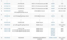 揭秘VPS的流量监控功能，能否查看流量？