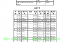 HTML转义详解，轻松解决网页编码难题