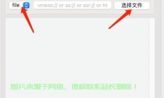 VPS上网秘籍，如何轻松搭建个人虚拟服务器畅享便捷网络体验！