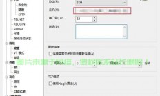 VPS SSH连接详解，一步步教你如何建立安全连接