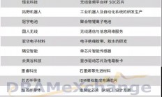 国产半导体发展的AB面，小米向左，阿里往右