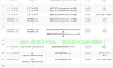 VPS深度解析，强大功能与优势揭秘！