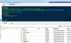 VPS内网穿透NAS，轻松远程访问，数据随心所欲掌控！