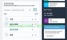 甲骨文新加坡VPS，云端服务的新选择