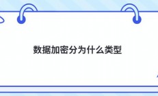 数据加密分为什么类型