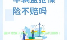 盗抢险与GPS追踪系统，购车必备保障的选择之道