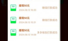 VPS操作拼多多赚钱攻略，轻松上手，赚钱无忧！