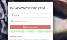 揭秘VPS承载网站数量的上限，虚拟私人服务器的网站容量探究