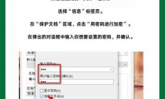 揭秘电脑软件加密技术，保障数据安全和隐私无忧的秘诀！
